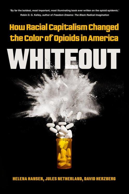9780520384057 Whiteout Helena Hansen, Boeken, Studieboeken en Cursussen, Nieuw, Verzenden