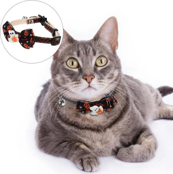 Halloween halsband Ghost voor katten, Dieren en Toebehoren, Katten-accessoires, Nieuw, Verzenden