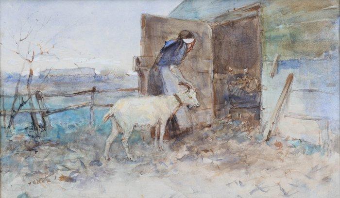 Willem Hendrik van der Nat (1864–1929) - Geit naar binnen, Antiek en Kunst, Kunst | Schilderijen | Klassiek