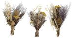 Mini driedflower boeket assorti in kraft hoes 23 cm, Huis en Inrichting, Ophalen of Verzenden, Nieuw