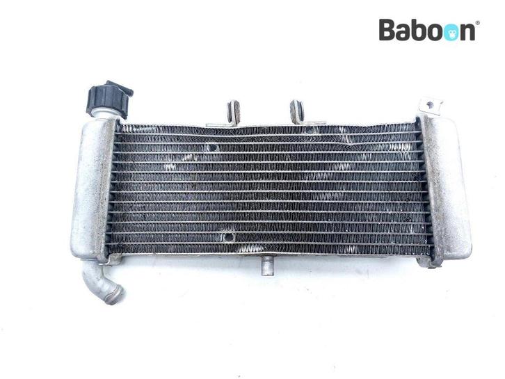 Radiateur Aprilia RS 125 2017-> (RS125), Motoren, Onderdelen | Overige, Gebruikt, Verzenden