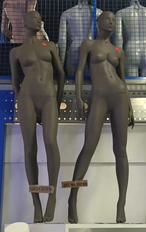 nieuw in doos dames NORMAAL 500 EURO PER POP (AANTOONBAAR), Zakelijke goederen, Kantoor en Winkelinrichting | Winkel en Inventaris