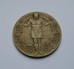 Penning - J.C. Wienecke - Bronzen penning Penning op het