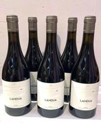 2022 Alto de la Huesera - Aiurri, Landua - Rioja - 6 Flessen, Verzamelen, Nieuw