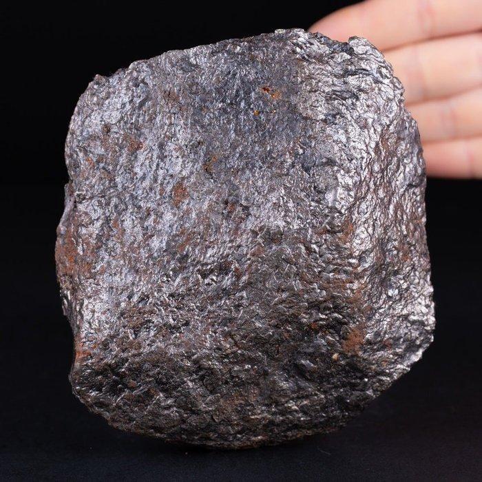 Asteroïdekern - Meteoriet - Hemelveldmonster - Hoogte: 124, Verzamelen, Mineralen en Fossielen