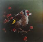 Tomasz Bednarski (1965) - Goldfinch