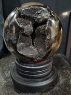 Beautiful large Egg - Septaria - Septarie - Dragon egg -, Verzamelen, Mineralen en Fossielen