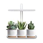 LED plantengroeilamp BLOOM 12W 4500K met timer en dimfunc..., Ophalen of Verzenden, Nieuw