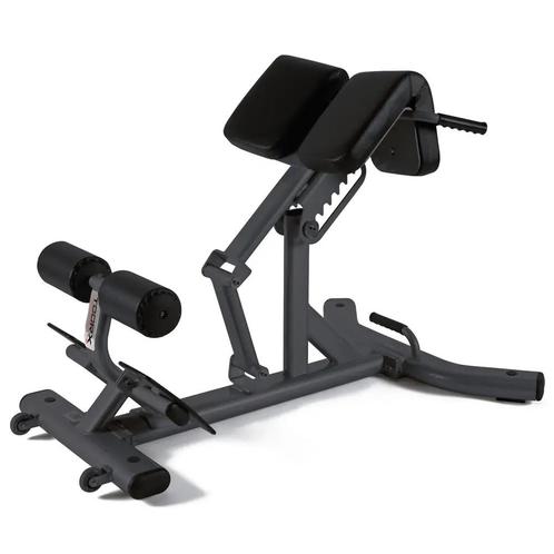 Toorx Professional WBX-B2600 Back Extension, Sport en Fitness, Fitnessapparatuur, Verzenden