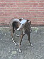 Beeld, Hond bronze beeld greyhound - 87 cm - Bronze echtheid, Antiek en Kunst