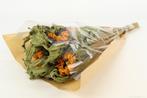 Zonnebloem sunflower helianthus bundel +/- 60cm droogbloemen, Ophalen of Verzenden, Nieuw