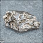 Natuurlijke meteoriet Campo Del Cielo Groot, Argentinië-, Verzamelen, Mineralen en Fossielen