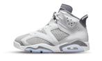 Air Jordan 6 Retro Cool Grey, Nieuw