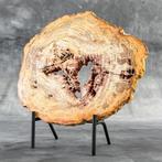 Prachtig groot stuk versteend hout op een op maat gemaakte