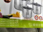 Royal Swiss - Pannenset - RVS met glazen deksels - 4 pannen, Huis en Inrichting, Keuken | Potten en Pannen, Verzenden, Zo goed als nieuw