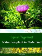 9789402146776 Bijvoet Tegemoet Koen t Hart, Verzenden, Nieuw, Koen 't Hart