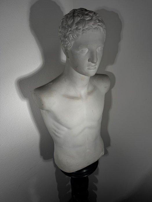 sculptuur, Busto maschile classico - 75 cm - Gips, Antiek en Kunst, Antiek | Keramiek en Aardewerk