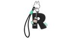Pop Mart Labubu The Monsters Pin for Love Series R Letter, Nieuw