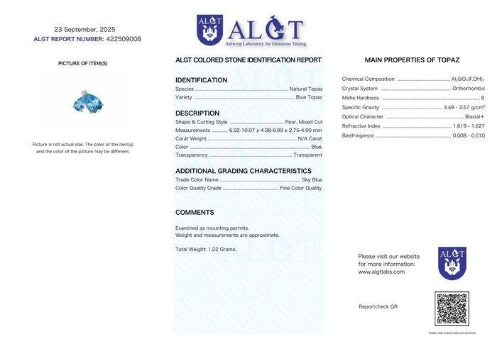 Zonder Minimumprijs - Hanger Zilver - Topaz - Gecertificeerd, Sieraden, Tassen en Uiterlijk, Antieke sieraden