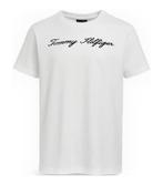Tommy Hilfiger T-shirt in maat XL Wit | 10% korting, Tommy Hilfiger, Verzenden, Zo goed als nieuw, Wit
