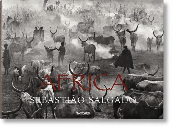 Sebastiao Salgado. Africa 9783822856215 Mia Couto, Boeken, Taal | Engels, Zo goed als nieuw, Verzenden
