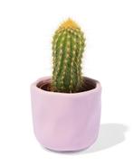 HEMA Bloempot Ø6x6cm keramiek lila van €4.59 voor €2 sale, Verzenden