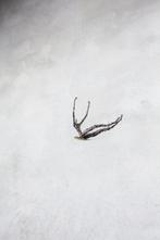 Simone Sirna - Spensieratezza, Antiek en Kunst