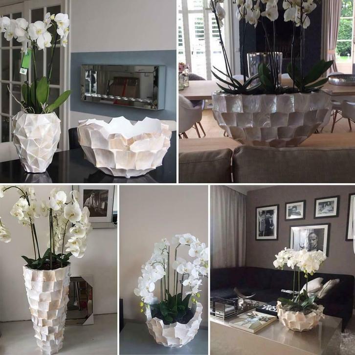SUPERDEAL! Schelpenvaas - Schelpenvazen en potten NIEUW!!!, Huis en Inrichting, Woonaccessoires | Vazen, Nieuw, Ophalen of Verzenden
