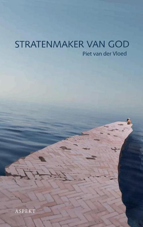 Stratenmaker van God 9789463385558 Piet van der Vloed, Boeken, Literatuur, Zo goed als nieuw, Verzenden