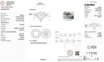Zonder Minimumprijs - 1 pcs Diamant (Natuurlijk) - 1.04 ct -, Nieuw