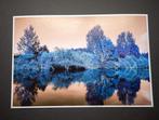 Viet Ha Tran - Nature and Seasons VI