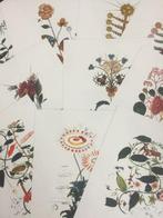Salvador Dali (1904-1989) - 10 litografie offset prints from
