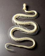 Slang Volledig Lichaam Taxidermie volledige montage -, Nieuw