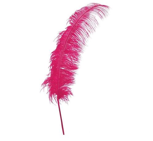 Roze Struisvogelveren 50cm 12st, Hobby en Vrije tijd, Feestartikelen, Nieuw, Verzenden