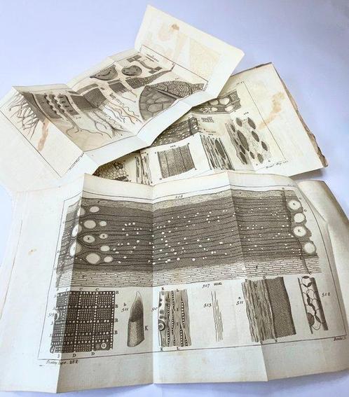 James Wigley and Thomas Bowles (XVIII - Antique collection, Antiek en Kunst, Antiek | Overige Antiek