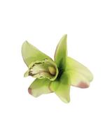 Collectif, Orchid Pinup Hairclip in Green., Verzenden, Nieuw
