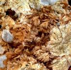 Hoge kwaliteit zeldzame bladvormige Tinzenite en kwarts -, Verzamelen