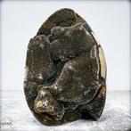 Natuurlijke grote septarische druse met calcietkristallen, Verzamelen, Mineralen en Fossielen