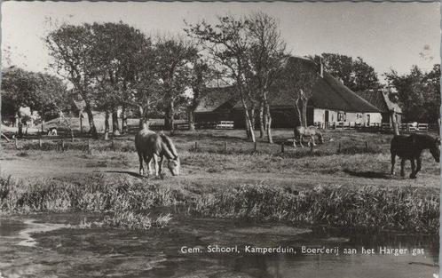 KAMPERDUIN - Boerderij aan het Harger gat, Verzamelen, Ansichtkaarten | Nederland, Verzenden
