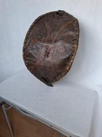 Maassai schild - sirata -elongo - Maasaï - Kenia, Antiek en Kunst