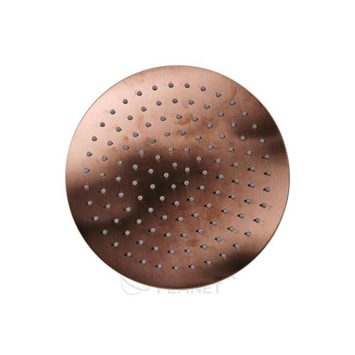 Sani Royal Douchekop 20 cm Brons Geborsteld, Doe-het-zelf en Verbouw, Sanitair