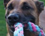 Stevige handgemaakte tugs voor honden, Verzenden, Nieuw, Overig speelgoed
