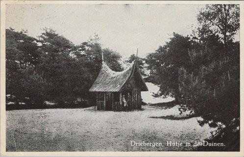 DRIEBERGEN - Hutje in de Duinen, Verzamelen, Ansichtkaarten | Nederland, Verzenden