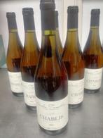 2005 André Tremblay CHABLIS - Chablis - 6 Fles (0,75 liter), Verzamelen, Nieuw