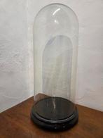 Globe - stolp - antiek - 1901-1920 - Grote Antieke ronde