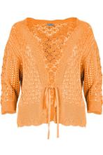 -50% Maicazz  MAICAZZ Fonny vest  maat XL, Kleding | Dames, Verzenden, Nieuw, Oranje