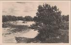 APPELSCHA - Duinen, Verzamelen, Verzenden, Gelopen