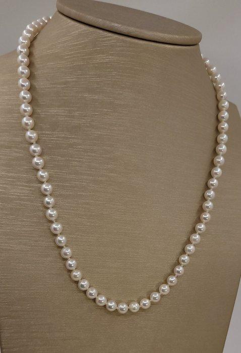 Halsketting 5,5x6mm heldere Akoya-parels, Sieraden, Tassen en Uiterlijk, Kettingen