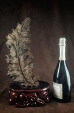 Nha Trang Agarwood 1,8 kg! - Vietnam (Zonder minimumprijs)