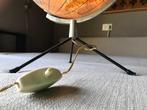 Terrestrial table globe - 1950-1960 - Laboratorio Italiano